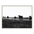 Picture of Cow Field  _GroupedProduct_Rectangle_Landscape_Photography _GroupedProduct_Rectangle_Landscape_Canvas_Framed_