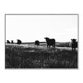 Picture of Cow Field  _GroupedProduct_Rectangle_Landscape_Photography _GroupedProduct_Rectangle_Landscape_Canvas_Framed_