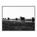 Picture of Cow Field  _GroupedProduct_Rectangle_Landscape_Photography _GroupedProduct_Rectangle_Landscape_Canvas_Framed_