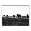 Picture of Cow Field  _GroupedProduct_Rectangle_Landscape_Photography _GroupedProduct_Rectangle_Landscape_Canvas_Framed_
