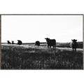 Picture of Cow Field  _GroupedProduct_Rectangle_Landscape_Photography _GroupedProduct_Rectangle_Landscape_Canvas_Framed_
