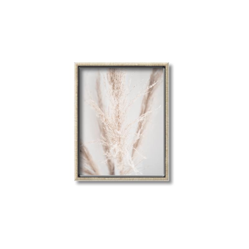Picture of Whispy Pampas _GroupedProduct_Rectangle_Portrait_Photography _GroupedProduct_Rectangle_Portrait_Canvas_Framed_