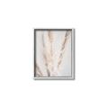 Picture of Whispy Pampas _GroupedProduct_Rectangle_Portrait_Photography _GroupedProduct_Rectangle_Portrait_Canvas_Framed_