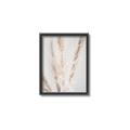 Picture of Whispy Pampas _GroupedProduct_Rectangle_Portrait_Photography _GroupedProduct_Rectangle_Portrait_Canvas_Framed_