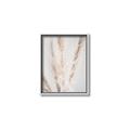 Picture of Whispy Pampas _GroupedProduct_Rectangle_Portrait_Photography _GroupedProduct_Rectangle_Portrait_Canvas_Framed_