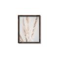 Picture of Whispy Pampas _GroupedProduct_Rectangle_Portrait_Photography _GroupedProduct_Rectangle_Portrait_Canvas_Framed_