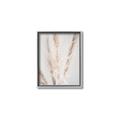 Picture of Whispy Pampas _GroupedProduct_Rectangle_Portrait_Photography _GroupedProduct_Rectangle_Portrait_Canvas_Framed_
