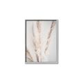Picture of Whispy Pampas _GroupedProduct_Rectangle_Portrait_Photography _GroupedProduct_Rectangle_Portrait_Canvas_Framed_