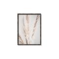 Picture of Whispy Pampas _GroupedProduct_Rectangle_Portrait_Photography _GroupedProduct_Rectangle_Portrait_Canvas_Framed_