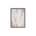 Picture of Whispy Pampas _GroupedProduct_Rectangle_Portrait_Photography _GroupedProduct_Rectangle_Portrait_Canvas_Framed_
