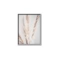 Picture of Whispy Pampas _GroupedProduct_Rectangle_Portrait_Photography _GroupedProduct_Rectangle_Portrait_Canvas_Framed_