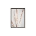 Picture of Whispy Pampas _GroupedProduct_Rectangle_Portrait_Photography _GroupedProduct_Rectangle_Portrait_Canvas_Framed_