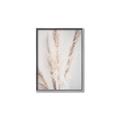 Picture of Whispy Pampas _GroupedProduct_Rectangle_Portrait_Photography _GroupedProduct_Rectangle_Portrait_Canvas_Framed_