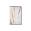 Picture of Whispy Pampas _GroupedProduct_Rectangle_Portrait_Photography _GroupedProduct_Rectangle_Portrait_Canvas_Framed_
