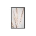 Picture of Whispy Pampas _GroupedProduct_Rectangle_Portrait_Photography _GroupedProduct_Rectangle_Portrait_Canvas_Framed_