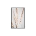 Picture of Whispy Pampas _GroupedProduct_Rectangle_Portrait_Photography _GroupedProduct_Rectangle_Portrait_Canvas_Framed_