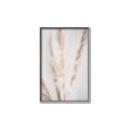 Picture of Whispy Pampas _GroupedProduct_Rectangle_Portrait_Photography _GroupedProduct_Rectangle_Portrait_Canvas_Framed_