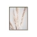Picture of Whispy Pampas _GroupedProduct_Rectangle_Portrait_Photography _GroupedProduct_Rectangle_Portrait_Canvas_Framed_