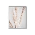 Picture of Whispy Pampas _GroupedProduct_Rectangle_Portrait_Photography _GroupedProduct_Rectangle_Portrait_Canvas_Framed_