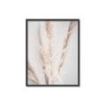 Picture of Whispy Pampas _GroupedProduct_Rectangle_Portrait_Photography _GroupedProduct_Rectangle_Portrait_Canvas_Framed_