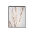 Picture of Whispy Pampas _GroupedProduct_Rectangle_Portrait_Photography _GroupedProduct_Rectangle_Portrait_Canvas_Framed_