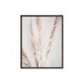 Picture of Whispy Pampas _GroupedProduct_Rectangle_Portrait_Photography _GroupedProduct_Rectangle_Portrait_Canvas_Framed_