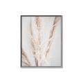 Picture of Whispy Pampas _GroupedProduct_Rectangle_Portrait_Photography _GroupedProduct_Rectangle_Portrait_Canvas_Framed_