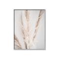 Picture of Whispy Pampas _GroupedProduct_Rectangle_Portrait_Photography _GroupedProduct_Rectangle_Portrait_Canvas_Framed_