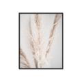 Picture of Whispy Pampas _GroupedProduct_Rectangle_Portrait_Photography _GroupedProduct_Rectangle_Portrait_Canvas_Framed_