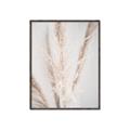Picture of Whispy Pampas _GroupedProduct_Rectangle_Portrait_Photography _GroupedProduct_Rectangle_Portrait_Canvas_Framed_