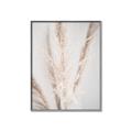 Picture of Whispy Pampas _GroupedProduct_Rectangle_Portrait_Photography _GroupedProduct_Rectangle_Portrait_Canvas_Framed_