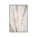 Picture of Whispy Pampas _GroupedProduct_Rectangle_Portrait_Photography _GroupedProduct_Rectangle_Portrait_Canvas_Framed_