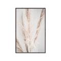 Picture of Whispy Pampas _GroupedProduct_Rectangle_Portrait_Photography _GroupedProduct_Rectangle_Portrait_Canvas_Framed_