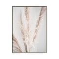 Picture of Whispy Pampas _GroupedProduct_Rectangle_Portrait_Photography _GroupedProduct_Rectangle_Portrait_Canvas_Framed_