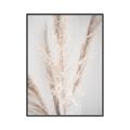 Picture of Whispy Pampas _GroupedProduct_Rectangle_Portrait_Photography _GroupedProduct_Rectangle_Portrait_Canvas_Framed_