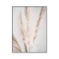 Picture of Whispy Pampas _GroupedProduct_Rectangle_Portrait_Photography _GroupedProduct_Rectangle_Portrait_Canvas_Framed_