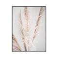 Picture of Whispy Pampas _GroupedProduct_Rectangle_Portrait_Photography _GroupedProduct_Rectangle_Portrait_Canvas_Framed_