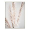 Picture of Whispy Pampas _GroupedProduct_Rectangle_Portrait_Photography _GroupedProduct_Rectangle_Portrait_Canvas_Framed_