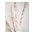 Picture of Whispy Pampas _GroupedProduct_Rectangle_Portrait_Photography _GroupedProduct_Rectangle_Portrait_Canvas_Framed_