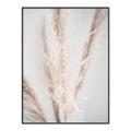 Picture of Whispy Pampas _GroupedProduct_Rectangle_Portrait_Photography _GroupedProduct_Rectangle_Portrait_Canvas_Framed_