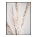 Picture of Whispy Pampas _GroupedProduct_Rectangle_Portrait_Photography _GroupedProduct_Rectangle_Portrait_Canvas_Framed_