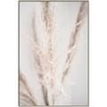 Picture of Whispy Pampas _GroupedProduct_Rectangle_Portrait_Photography _GroupedProduct_Rectangle_Portrait_Canvas_Framed_