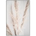 Picture of Whispy Pampas _GroupedProduct_Rectangle_Portrait_Photography _GroupedProduct_Rectangle_Portrait_Canvas_Framed_