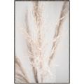 Picture of Whispy Pampas _GroupedProduct_Rectangle_Portrait_Photography _GroupedProduct_Rectangle_Portrait_Canvas_Framed_