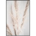 Picture of Whispy Pampas _GroupedProduct_Rectangle_Portrait_Photography _GroupedProduct_Rectangle_Portrait_Canvas_Framed_