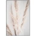 Picture of Whispy Pampas _GroupedProduct_Rectangle_Portrait_Photography _GroupedProduct_Rectangle_Portrait_Canvas_Framed_