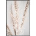 Picture of Whispy Pampas _GroupedProduct_Rectangle_Portrait_Photography _GroupedProduct_Rectangle_Portrait_Canvas_Framed_