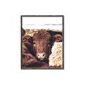 Picture of Snuggled Highland _GroupedProduct_Rectangle_Portrait_Photography _GroupedProduct_Rectangle_Portrait_Canvas_Framed_