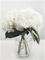 Picture of Hydrangea Bouquet _GroupedProduct_Rectangle_Portrait_Photography _GroupedProduct_Rectangle_Portrait_Unframed_Print_Only_