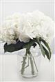 Picture of Hydrangea Bouquet _GroupedProduct_Rectangle_Portrait_Photography _GroupedProduct_Rectangle_Portrait_Unframed_Print_Only_
